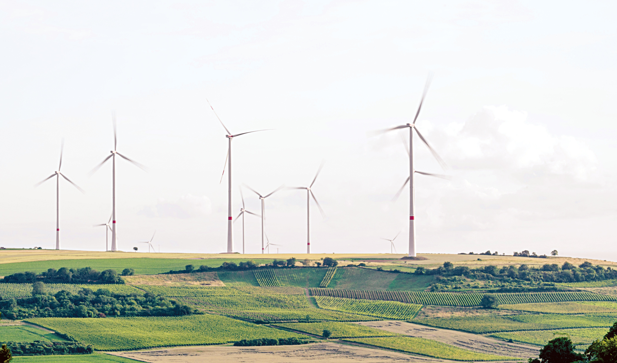 Harnessing the wind: Clean energy, clear progress