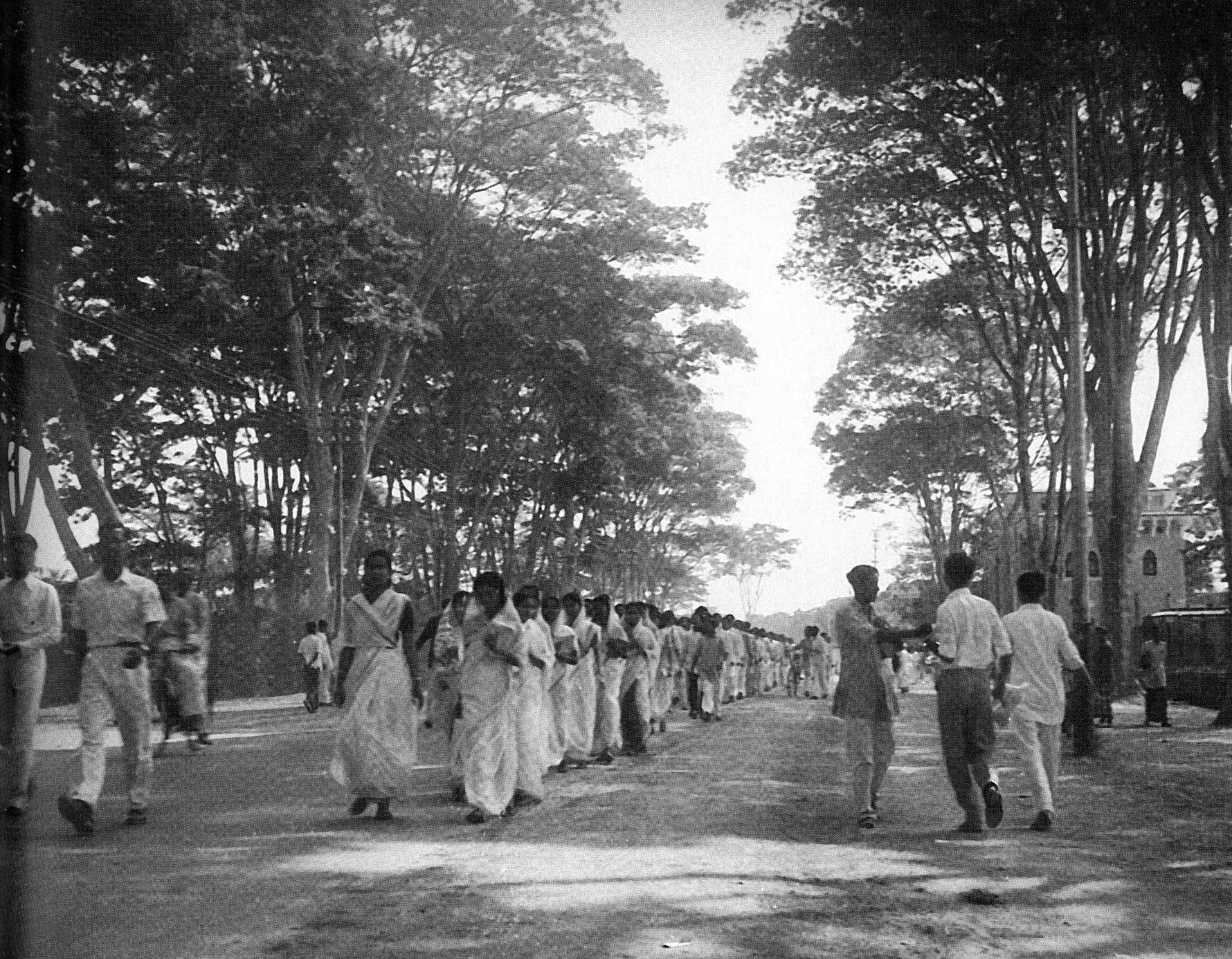 Bangladesh in many voices