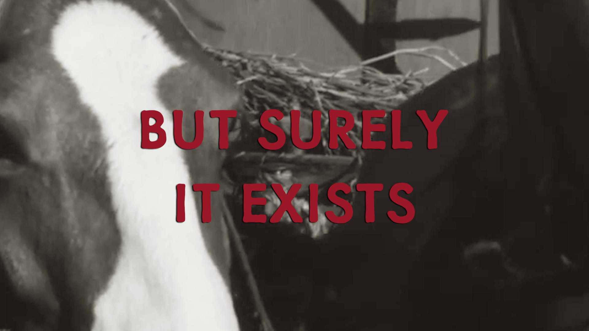 Raihan-Ghatak-Tarkovsky: We shall search, we shall find