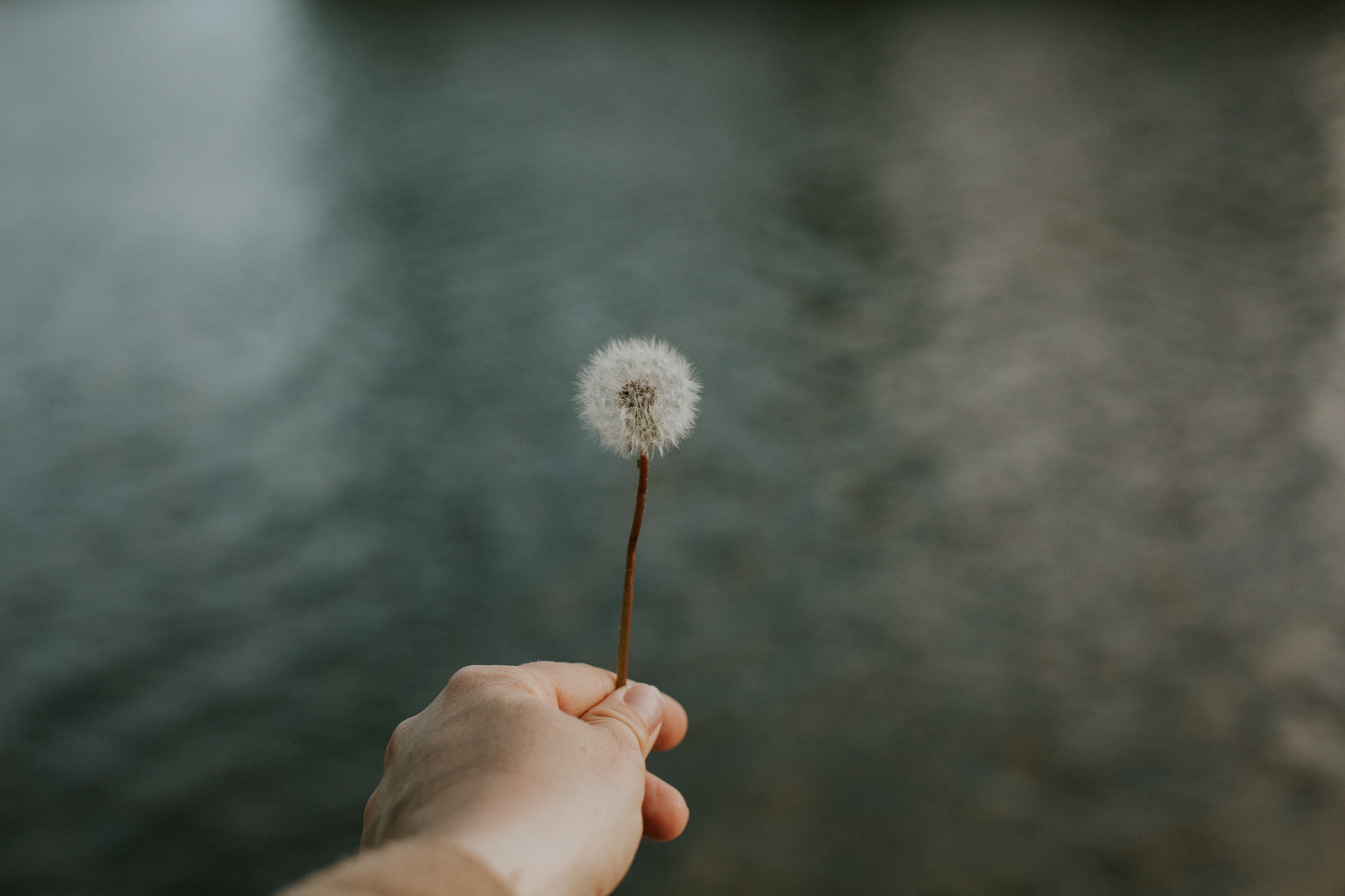 Hope is like an art