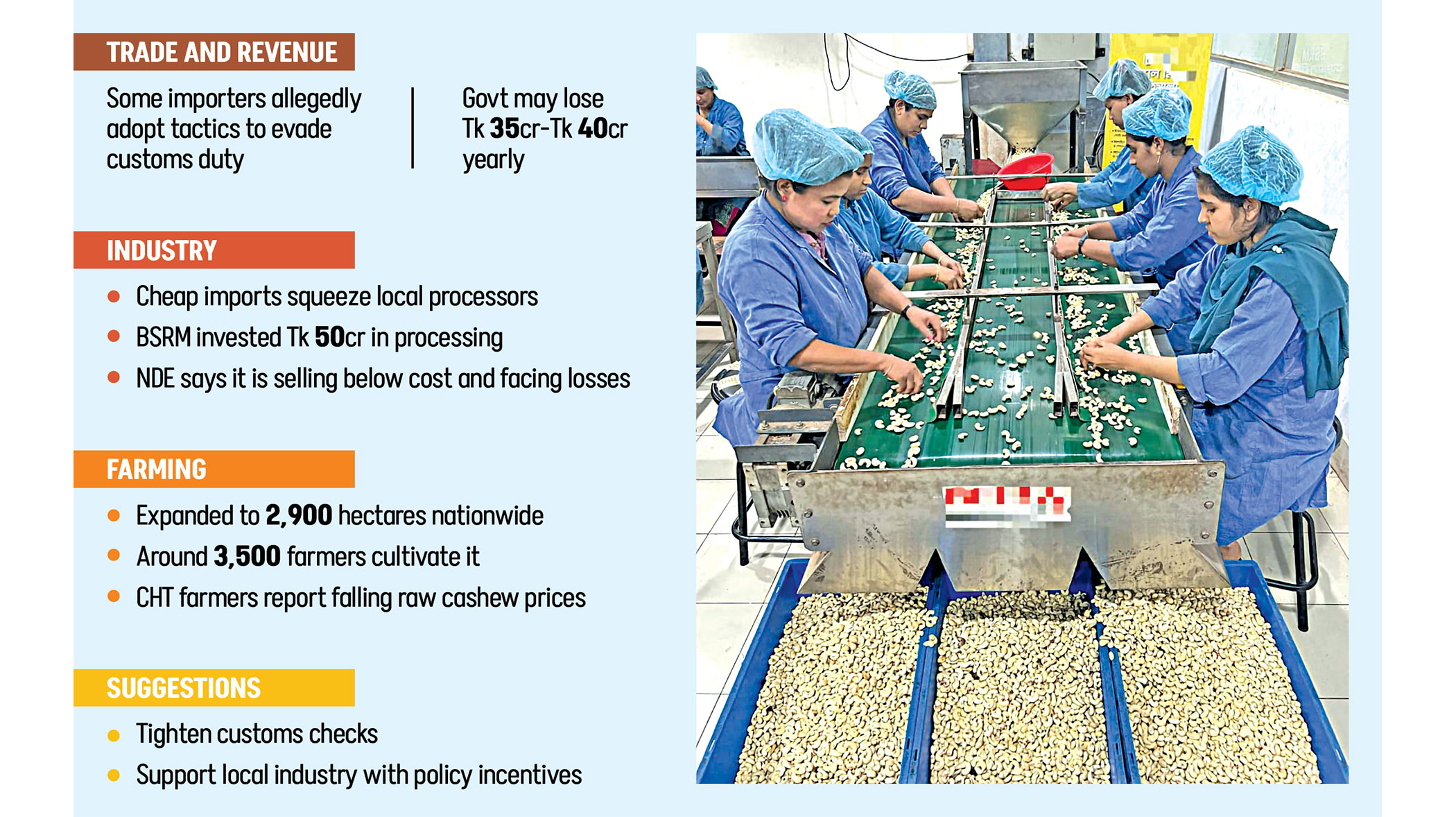 Local cashew industry under pressure from cheaper imports
