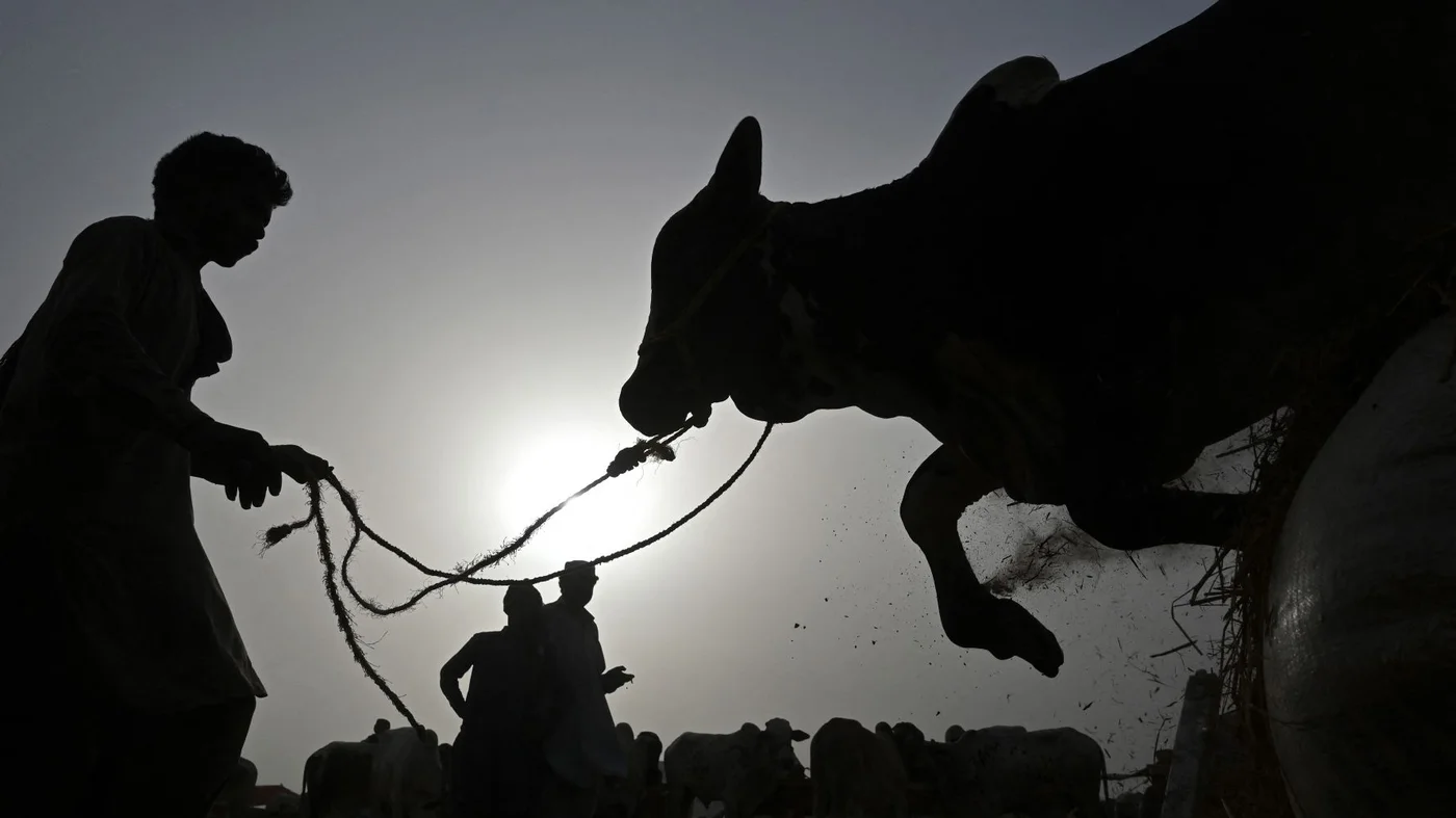Zilhajj moon sighted: Eid-ul-Azha in Bangladesh on May 28
