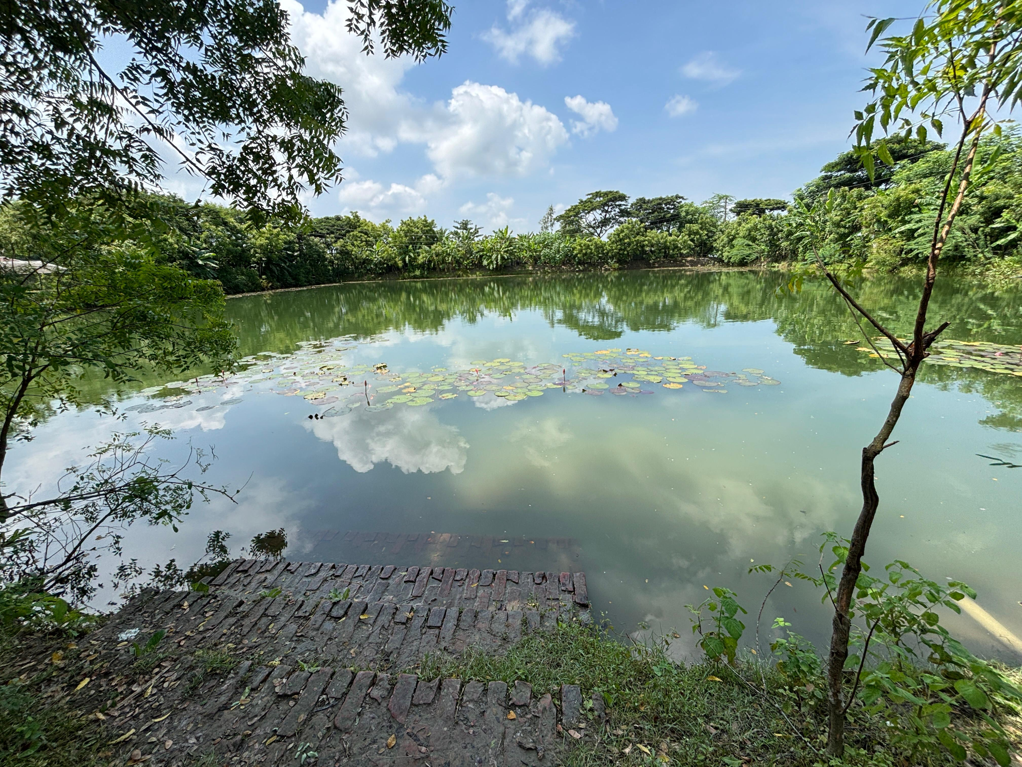 The sacred water world of the Sundarbans