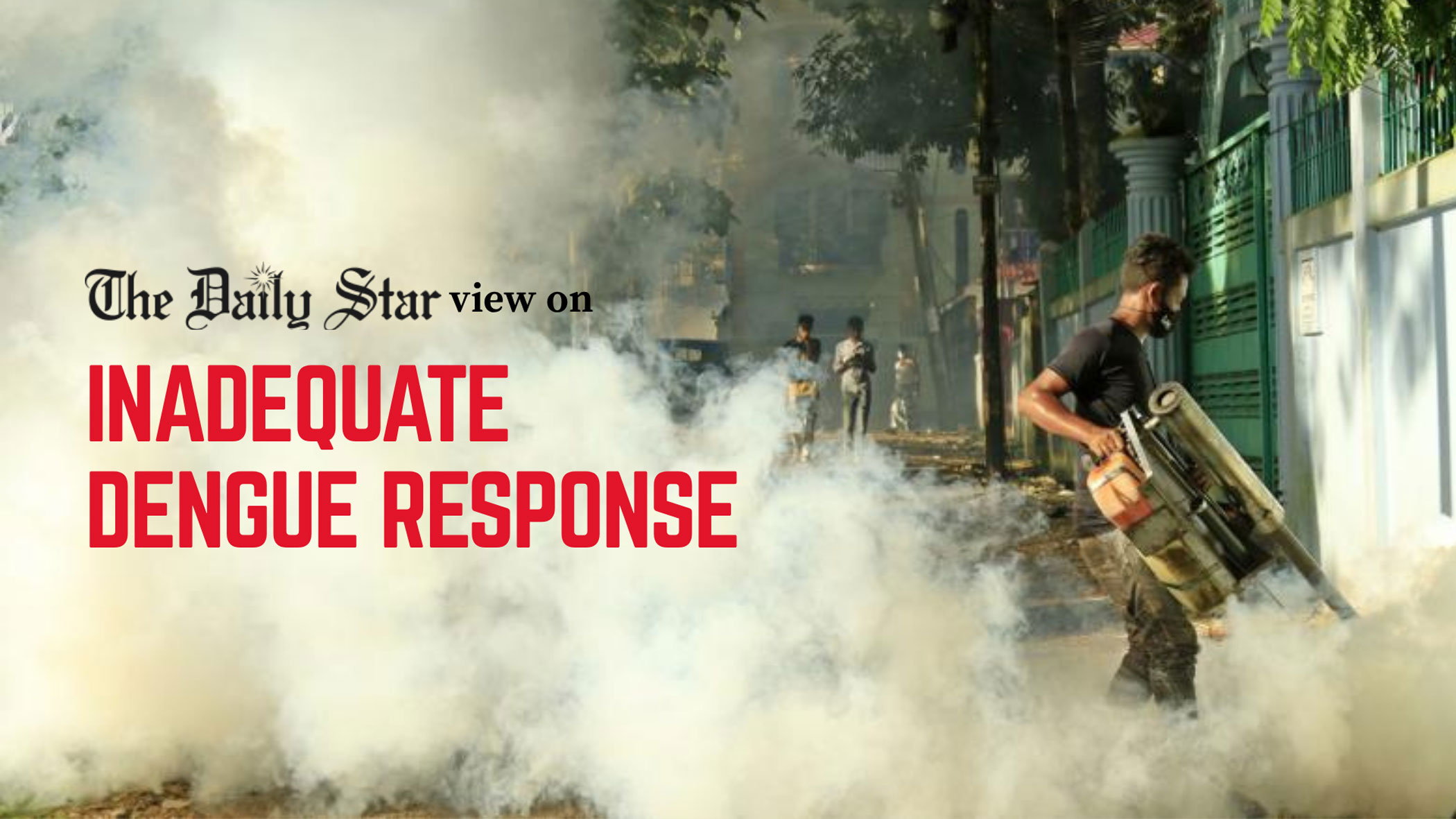 We need a long-term dengue control plan