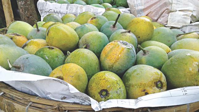 Intellectual Property Rights: Bangladesh has a long way to go