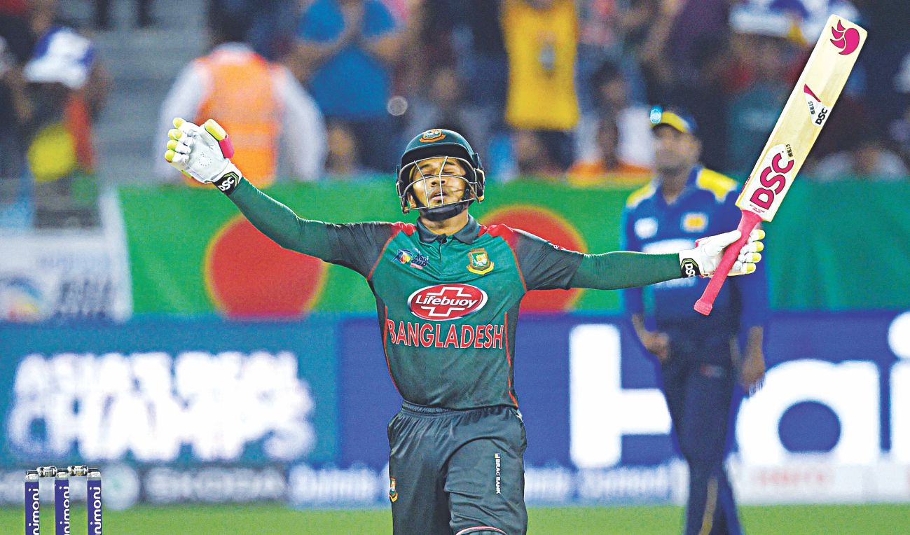 Guts deliver Tigers glory