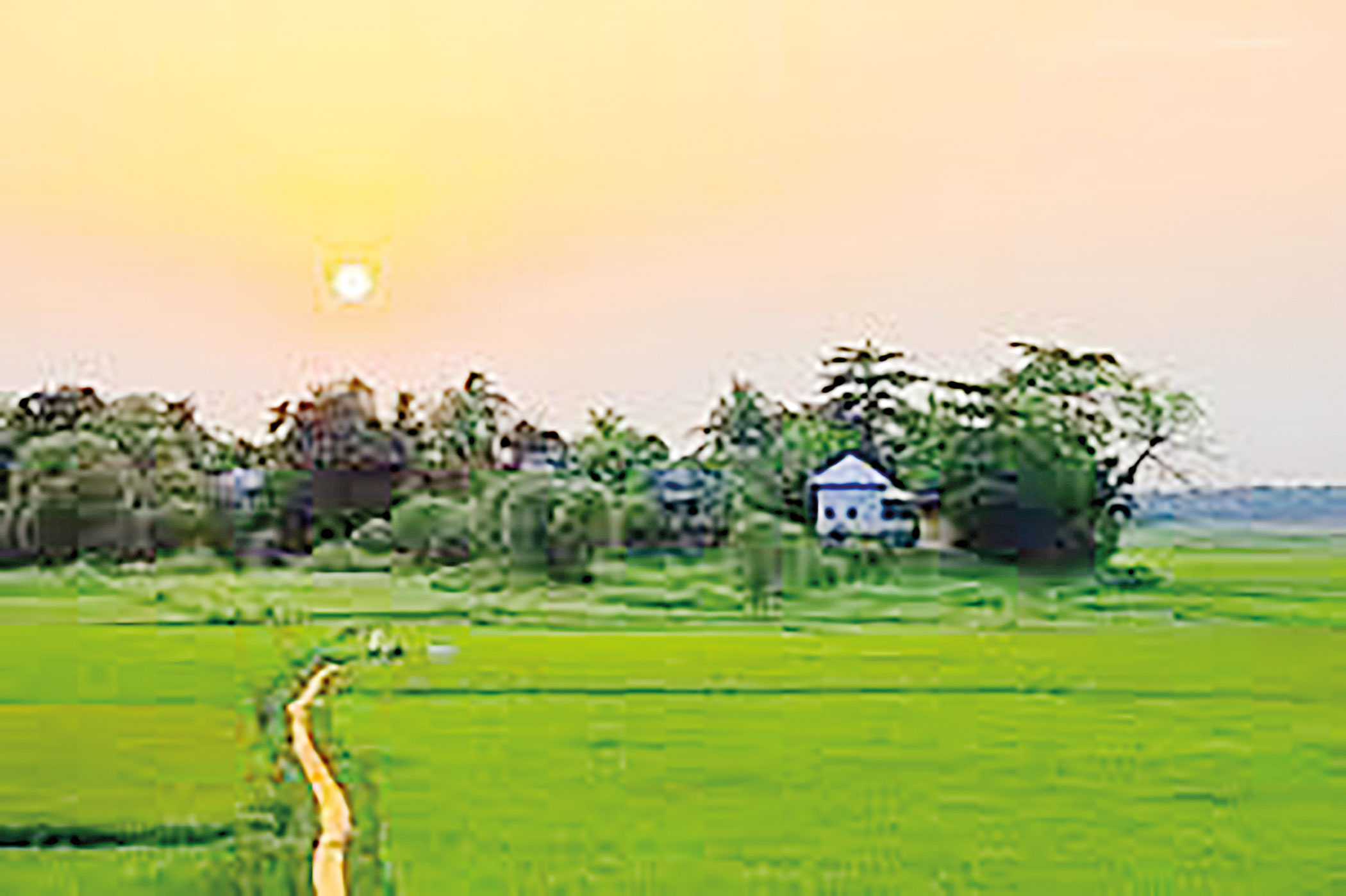 Kolimoddi Dafadaar