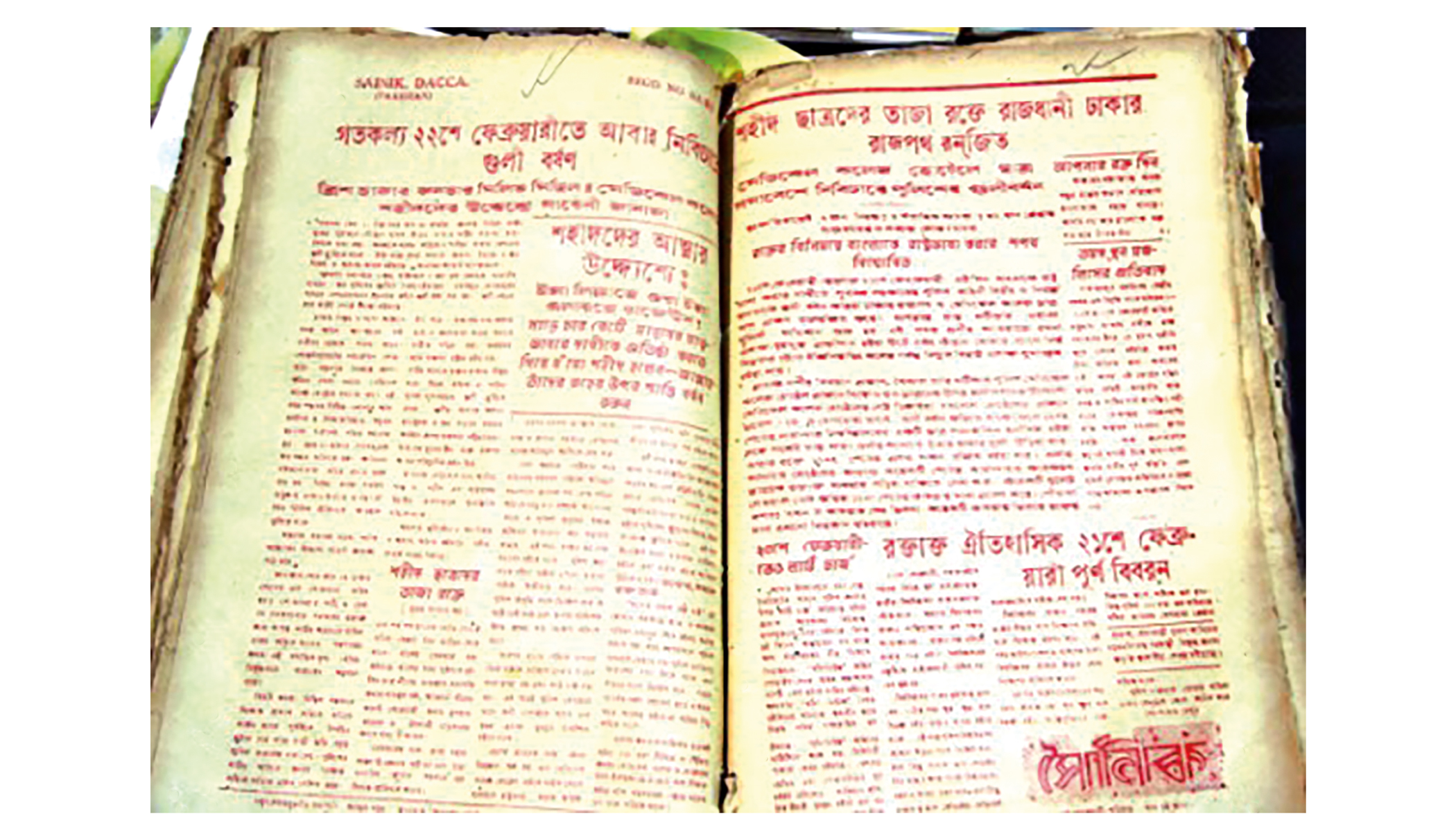 The origin of the Language Movement
