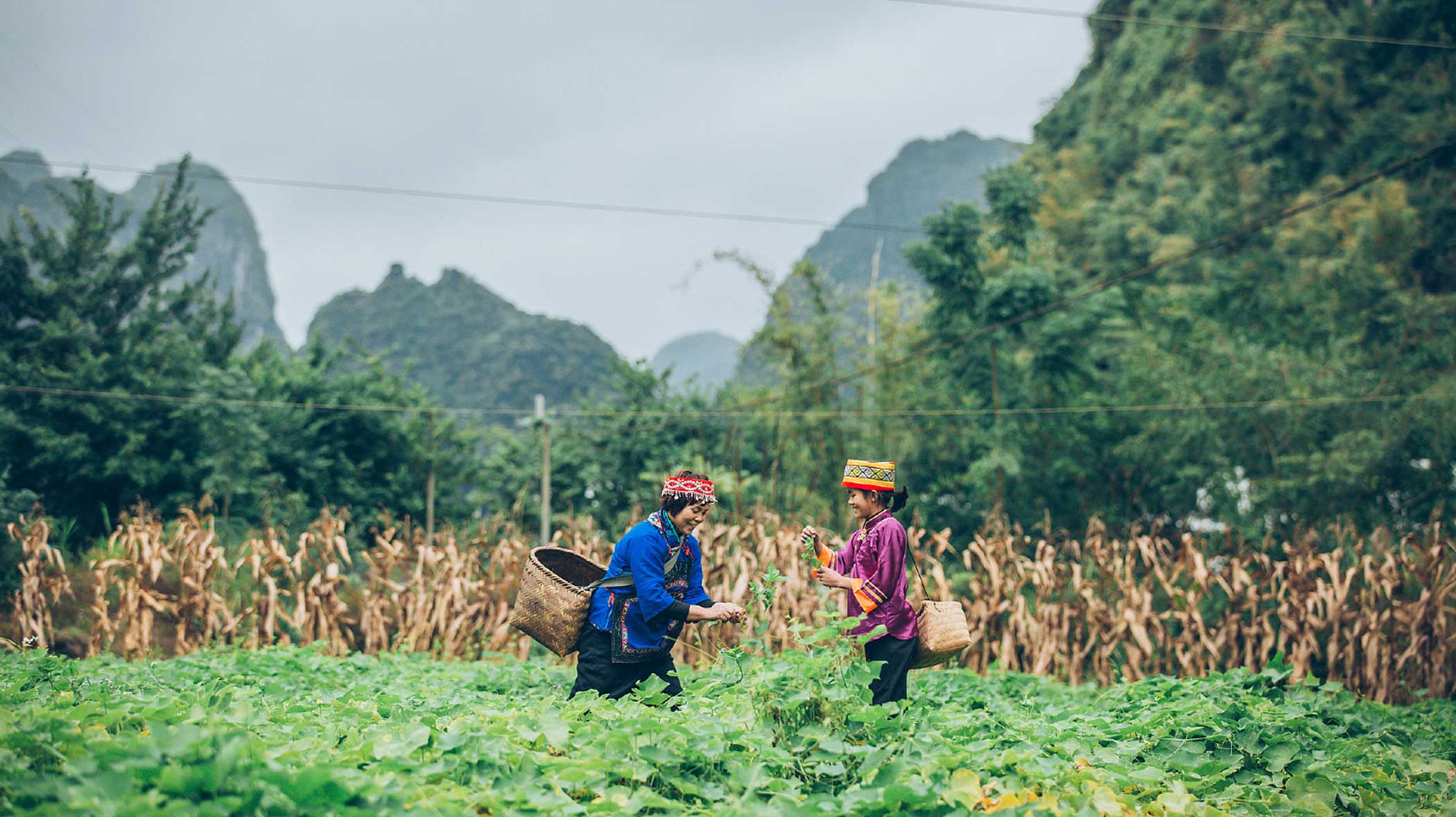 Adaptation strategies must be bottom-up