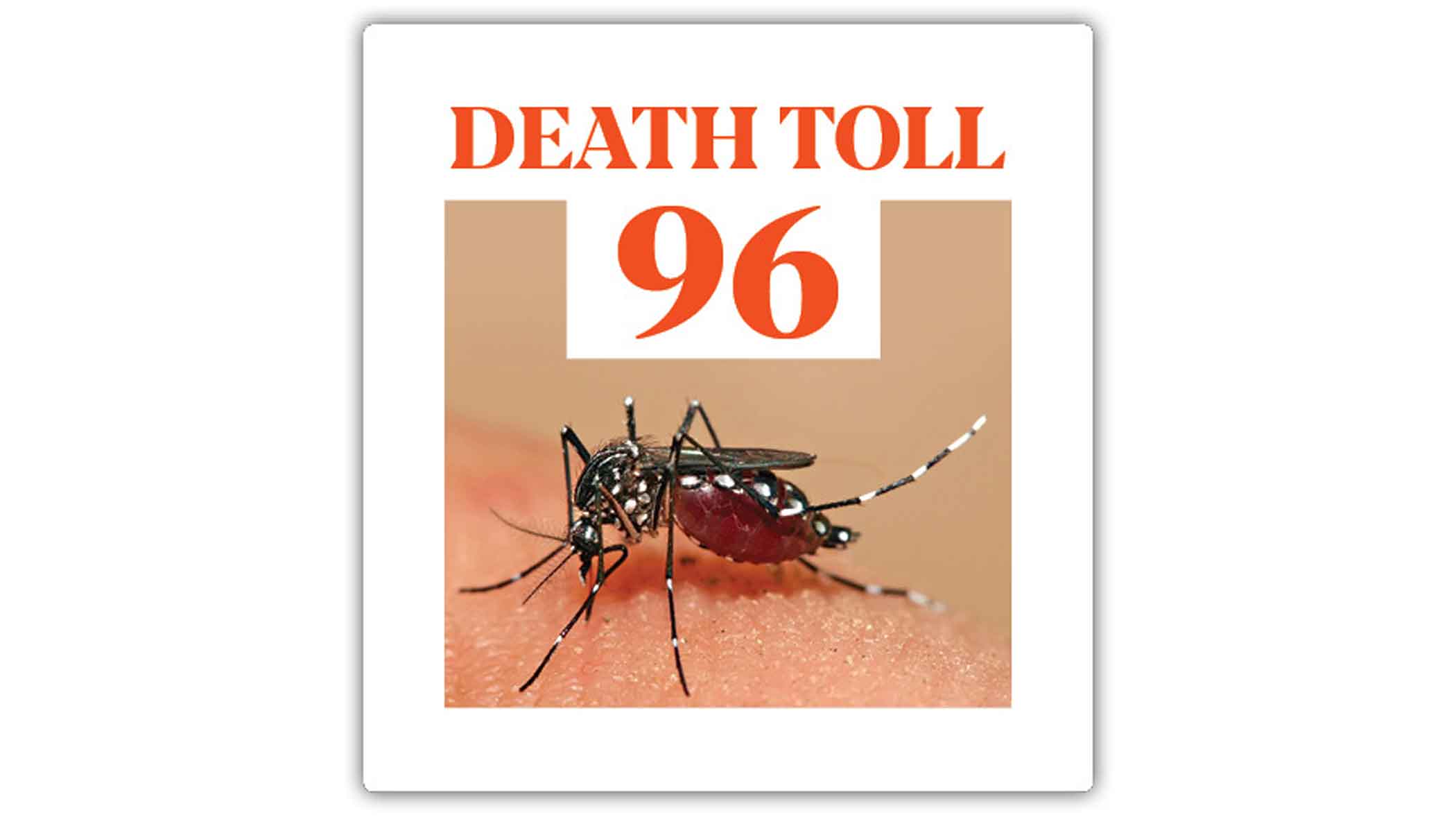 Rising dengue cases call for urgent action