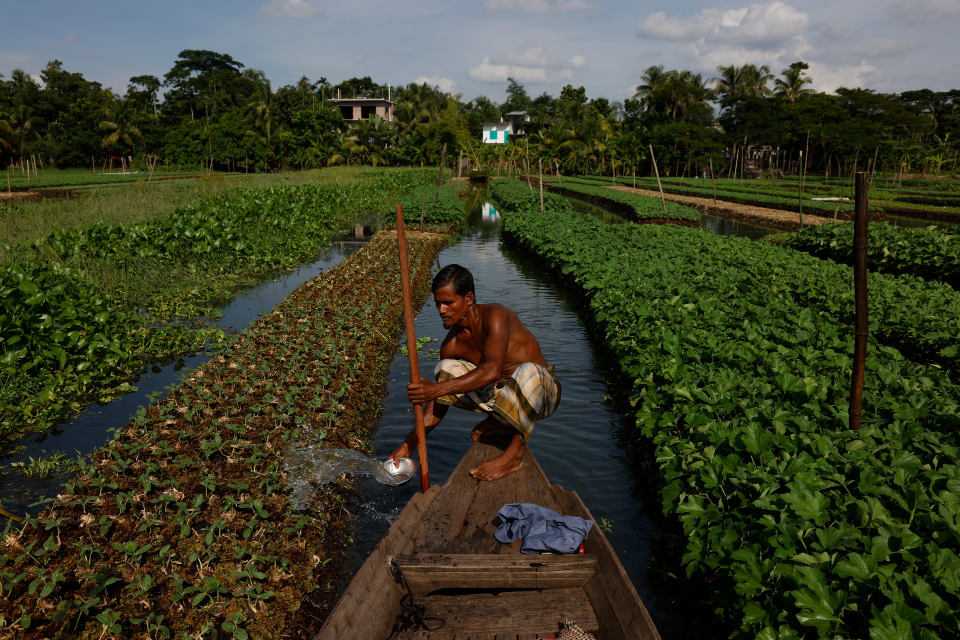 How erratic weather has affected our food production