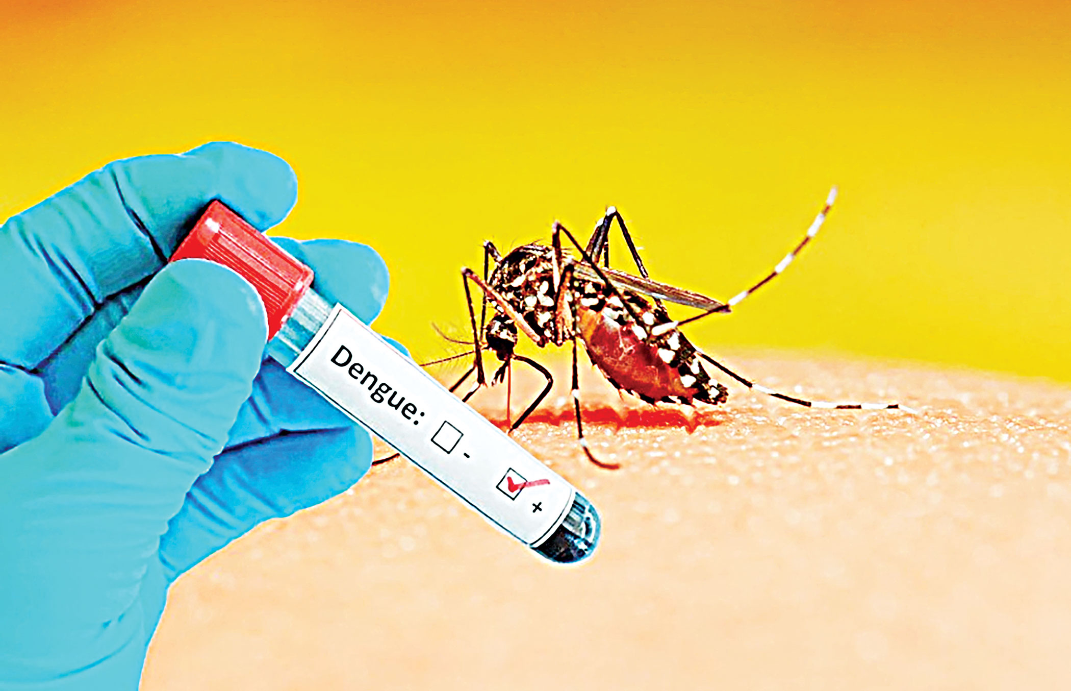 Authorities using bizarre methods, failing in mosquito control: entomologists