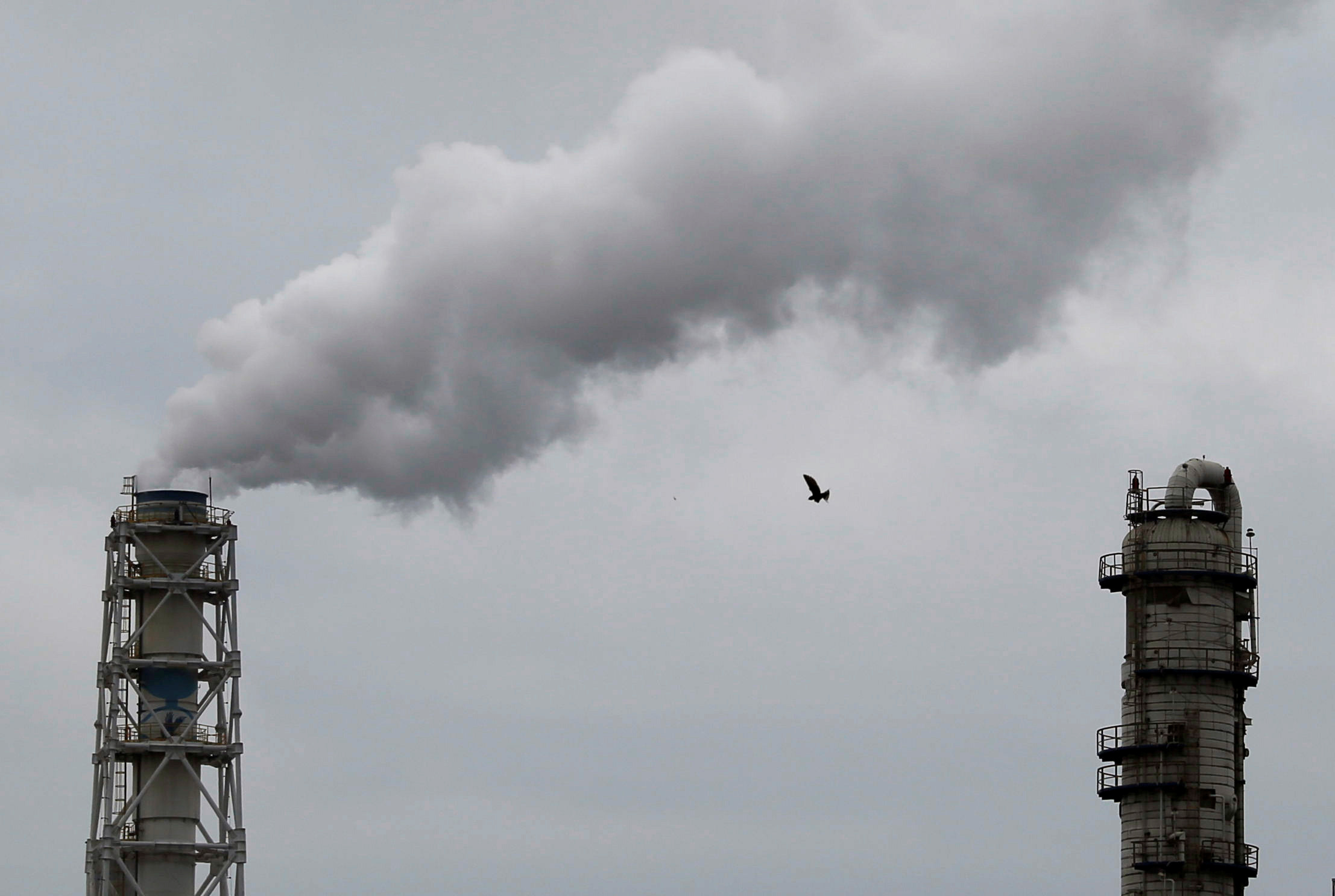 Time to look into carbon capture and credit