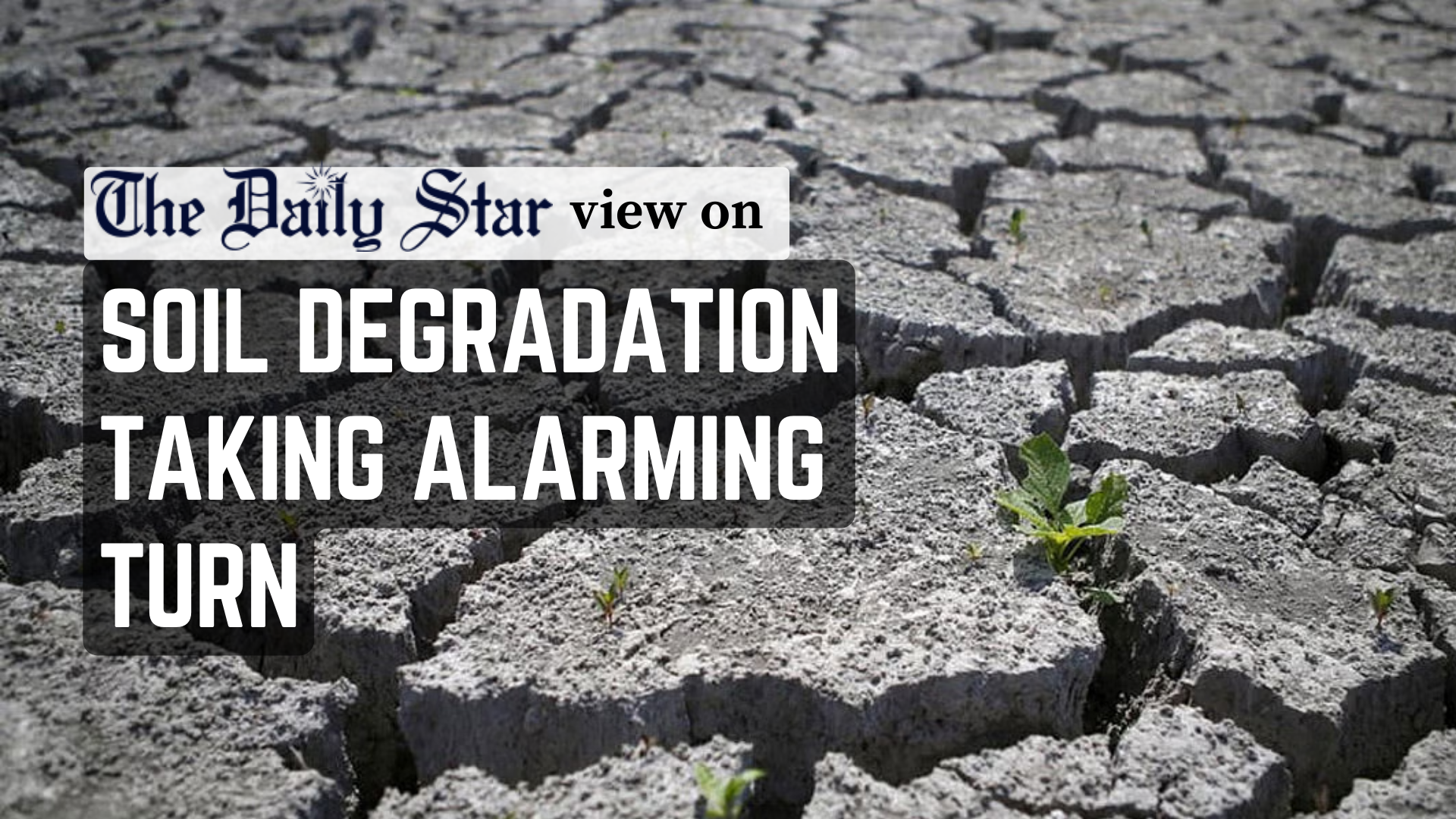 Our soil is losing precious nutrients