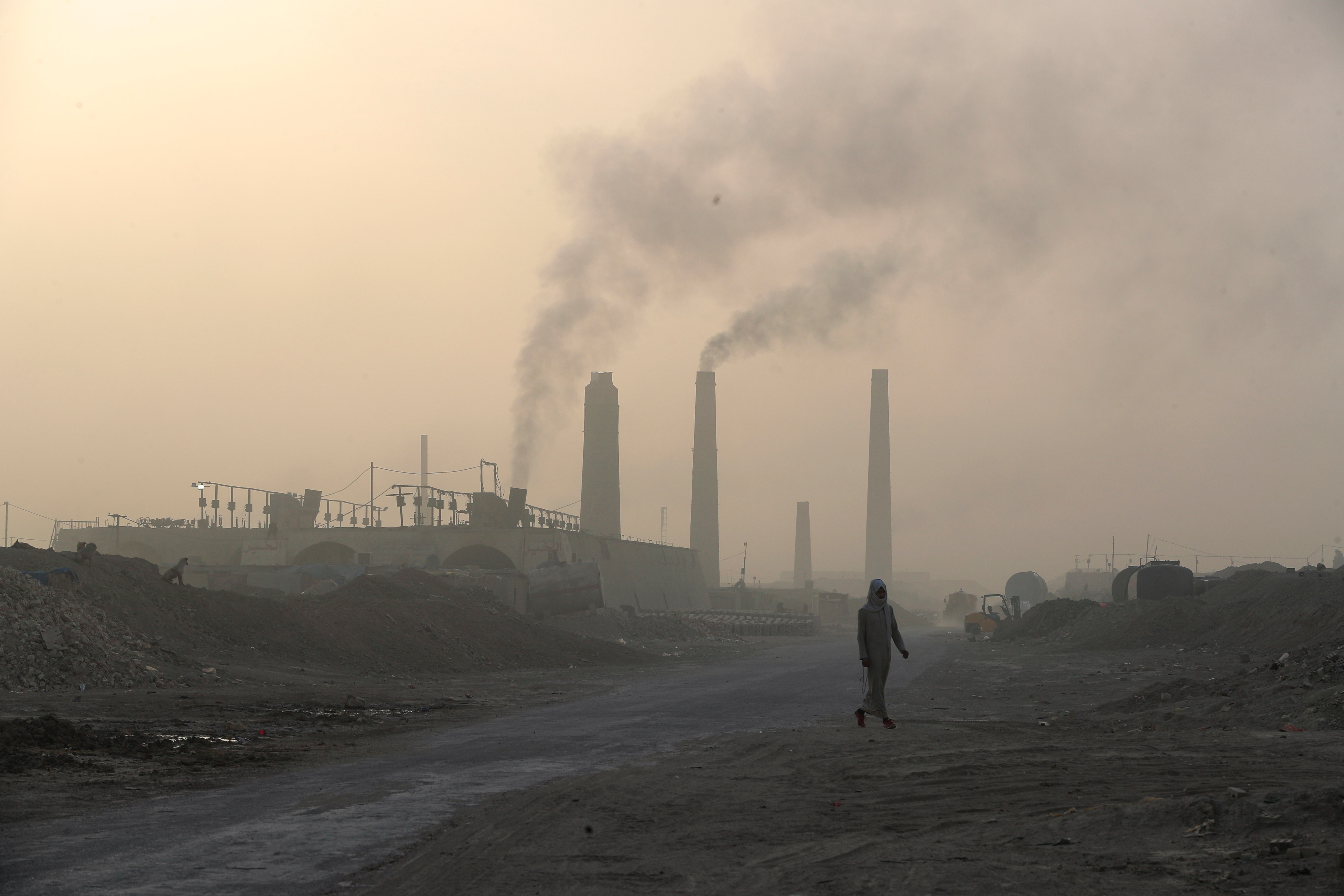 Sustainability must equal financial viability
