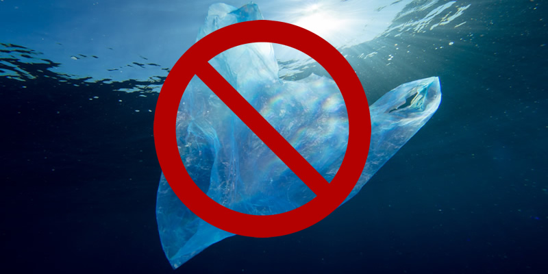 No plastic bags in superstores from Oct 1