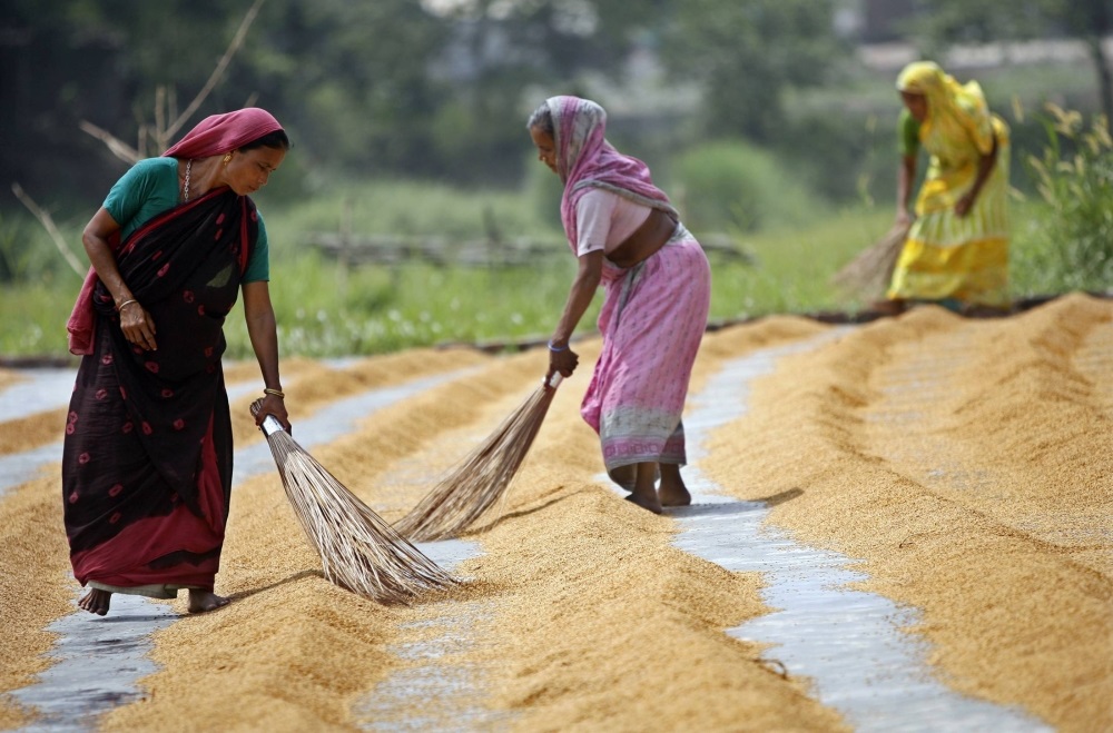 Rural women are the frontline warriors against climate change