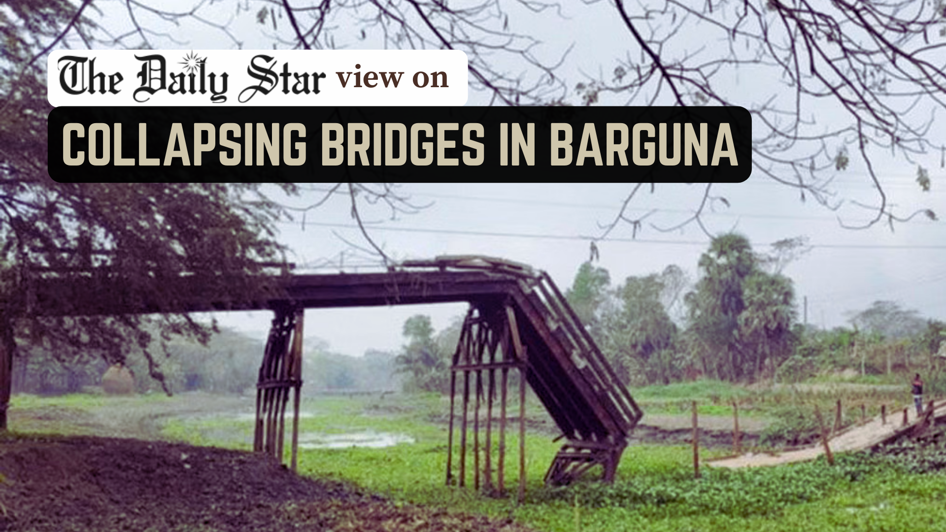 Why are iron bridges in Barguna collapsing?