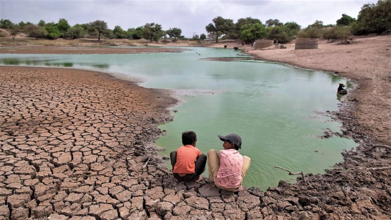 COP30 must confront the climate displacement crisis 