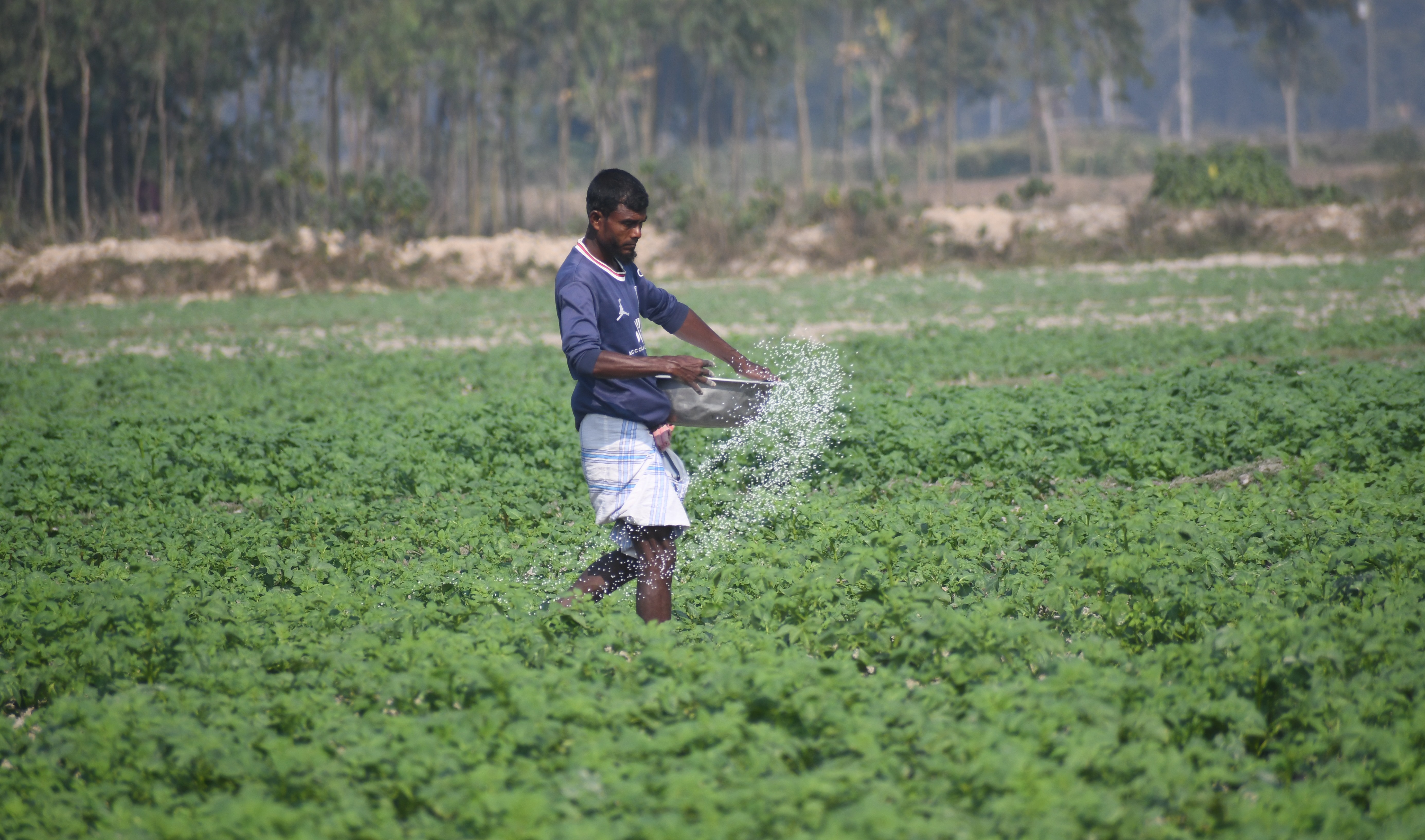 Govt allows fertiliser retailers to continue sales until further notice