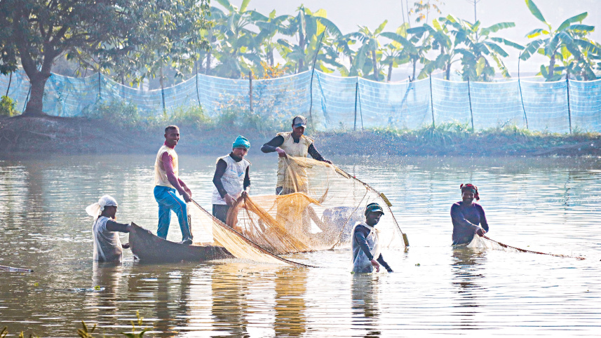 Fisheries.jpg