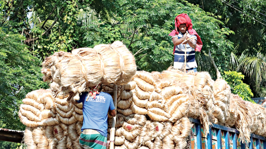 Raw-jute.jpg