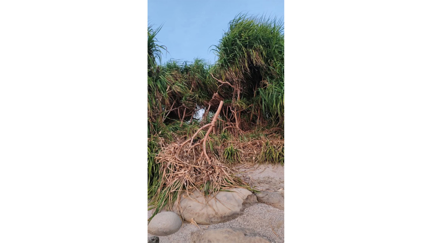 Natural-Keya.jpg