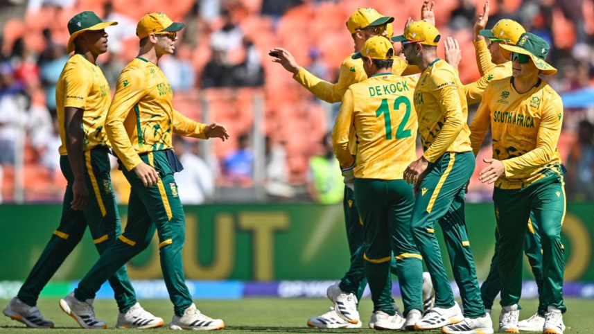 ProteaFire.jpg