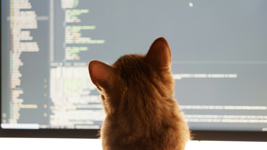 Vibe coding