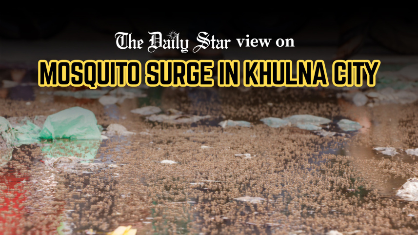 Mosquito_surge-EDITORIAL_2.jpg