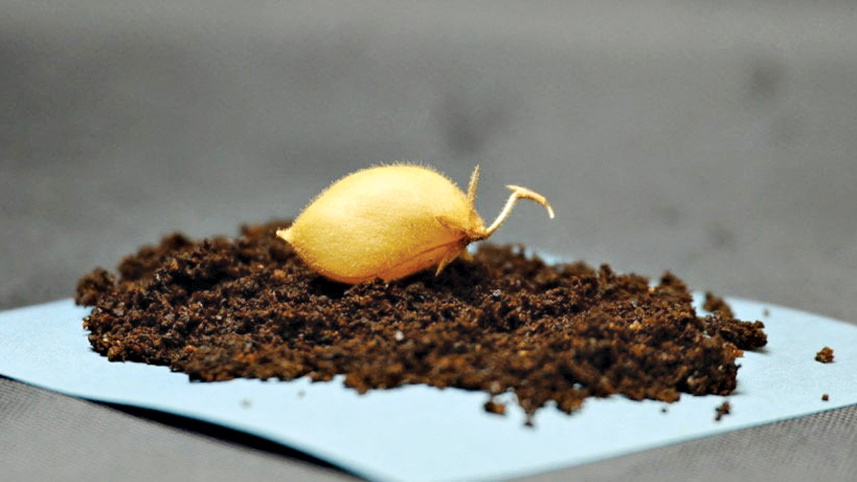 moon-dirt.jpg