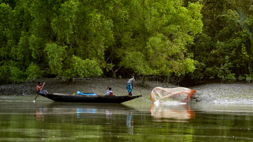 ED2__Sundarban_mangrove_forest.jpg