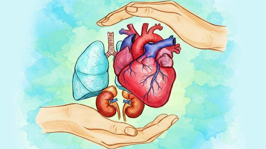 World-Organ-Donation-Day.jpg