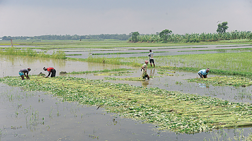 agricultural-and-rural-credit.jpg