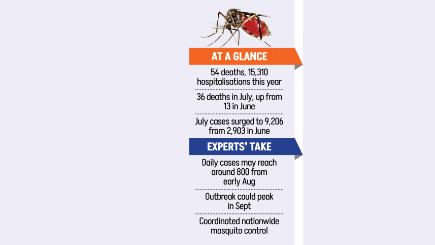 dengue.jpg