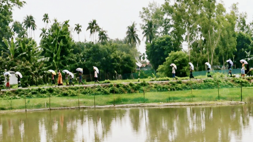 urea-web.jpg