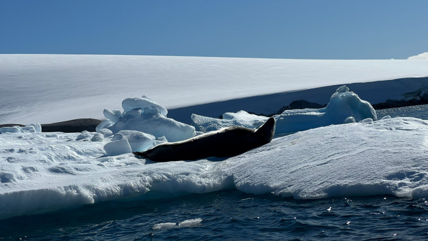 Bangladesh to Antarctica Planning the journey to the end of the world