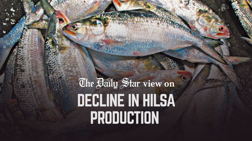 Editorial_2_Decline_in_hilsa_production.jpg