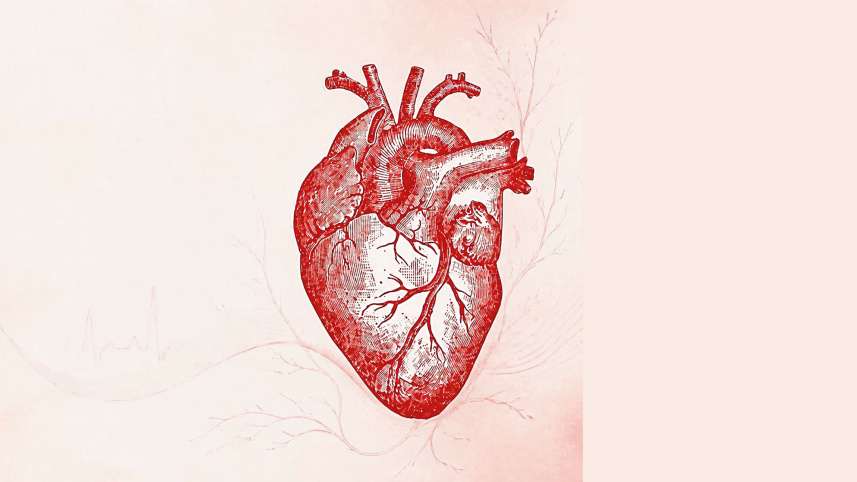 Heart1.jpg