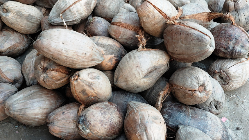 Rangpur coconut price-01.jpg