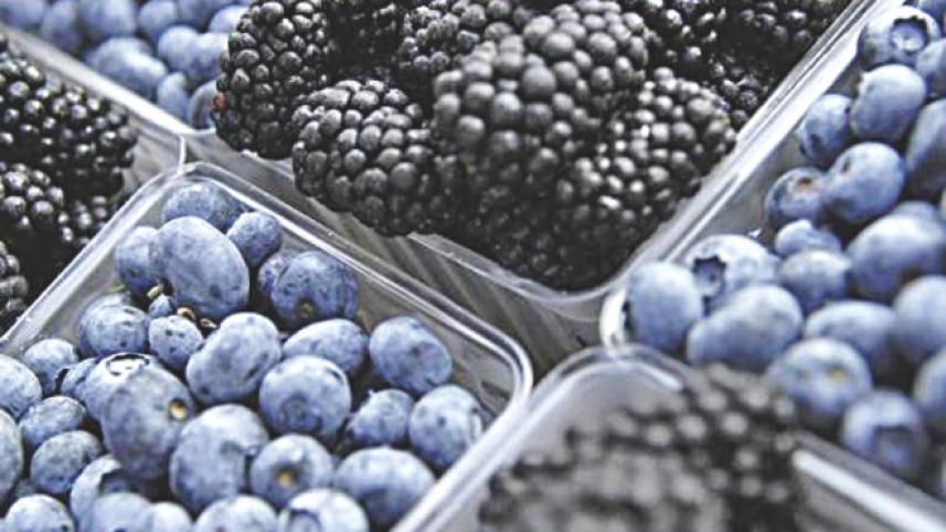 blueberries-may-help.jpg