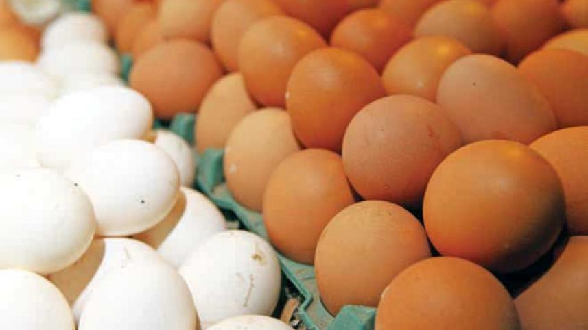 egg_1.jpg