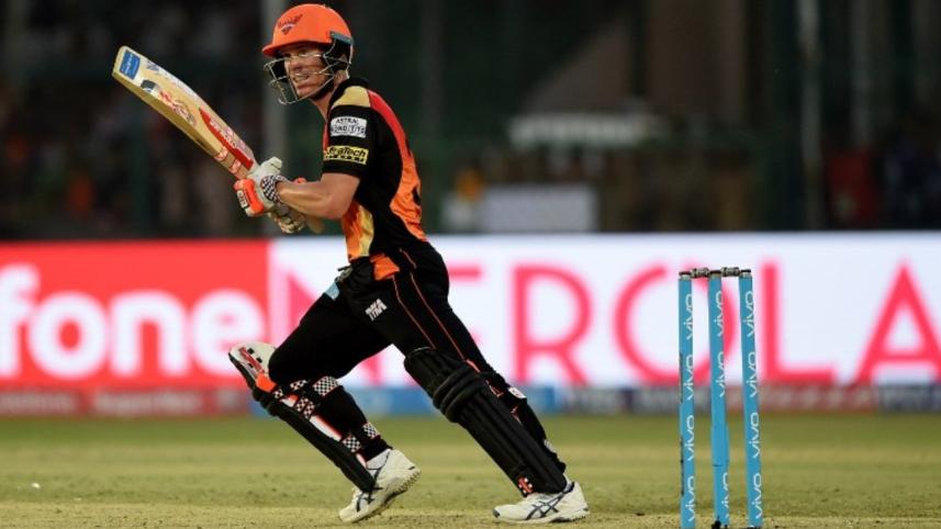 David Warner 