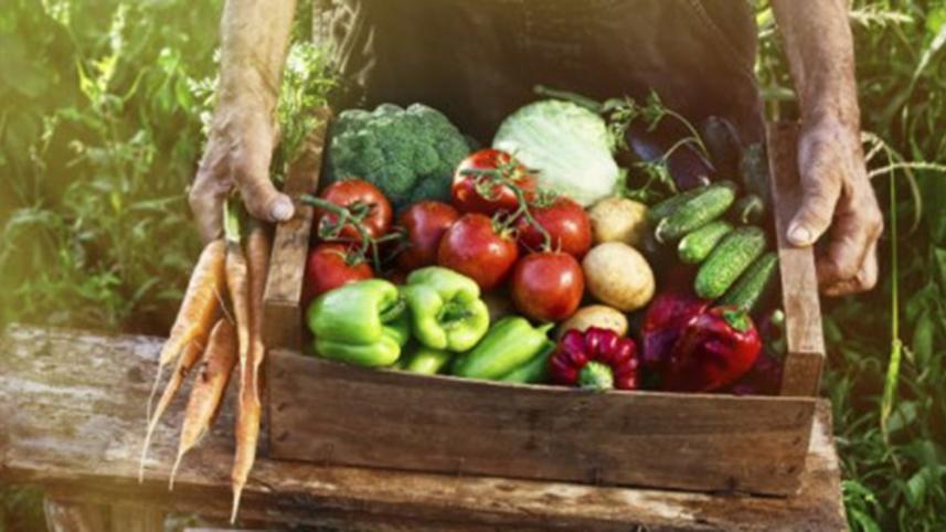 World Vegan Day