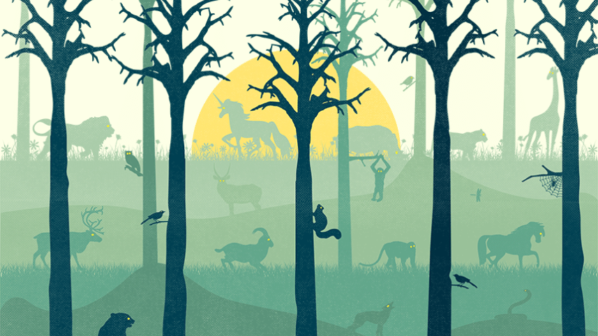 forest0.jpg