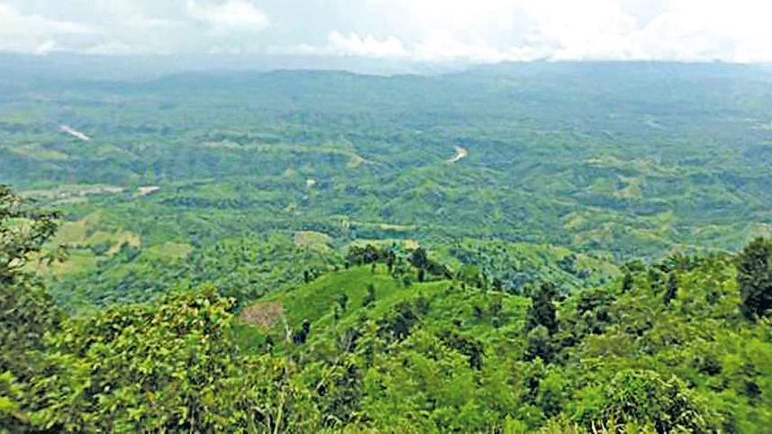 hill-tracks.jpg