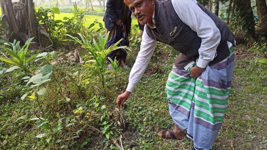 Gopairbagh-village-in-Noakhali.jpg