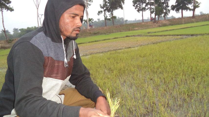 worries-farmers-Sylhet-haors.jpg