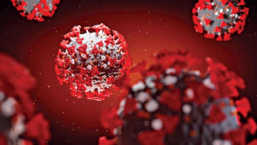 coronavirus.jpg