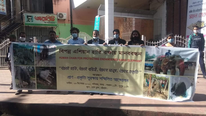 human chain.jpg
